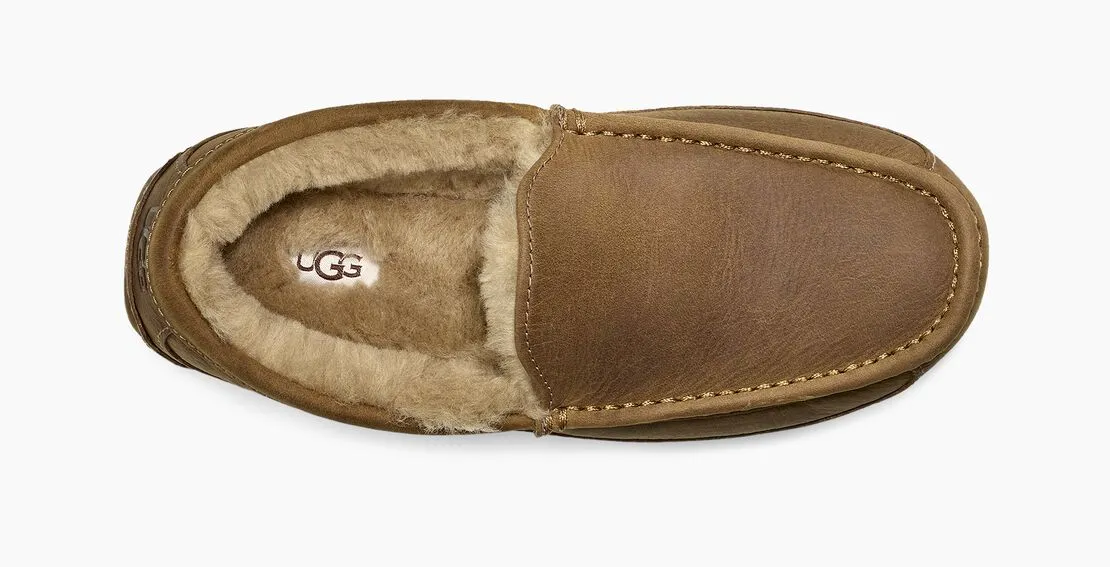 UGG Men's Ascot Leather