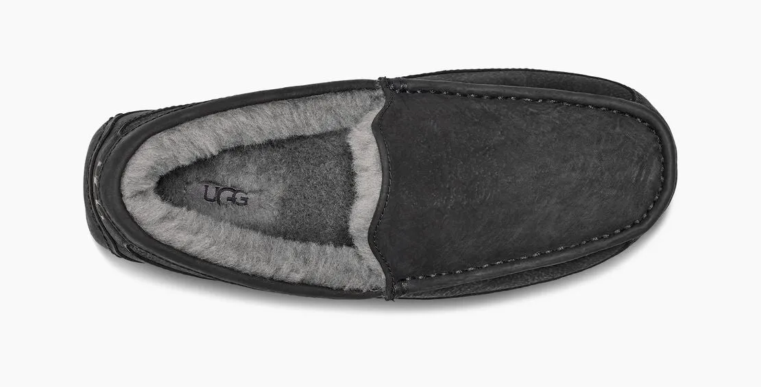 UGG Men's Ascot Leather